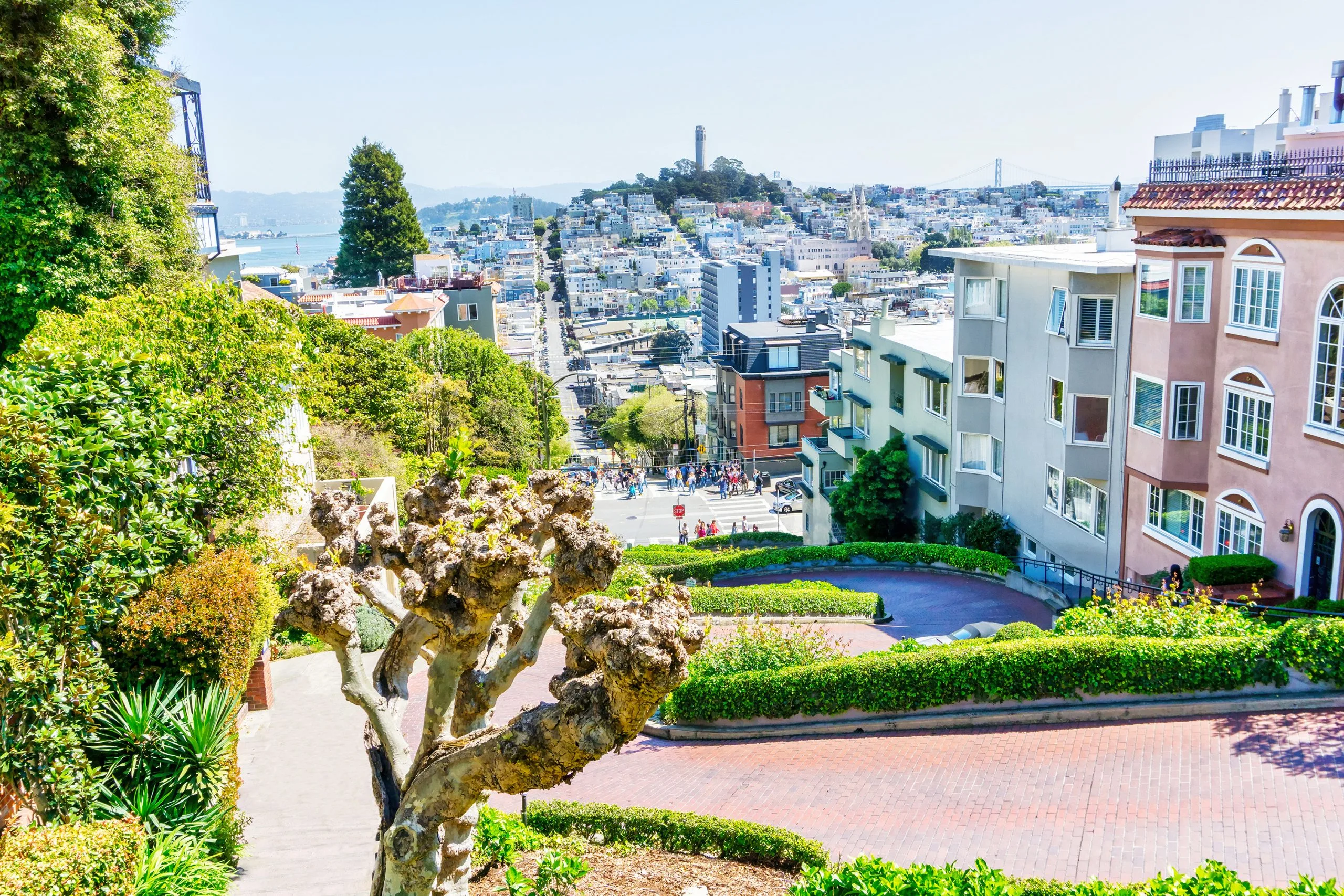 Image of Lombard Street for Dateable San Francisco Location.