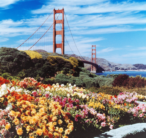 Image of the Golden Gate Bridge for near Dateable San Francisco Location