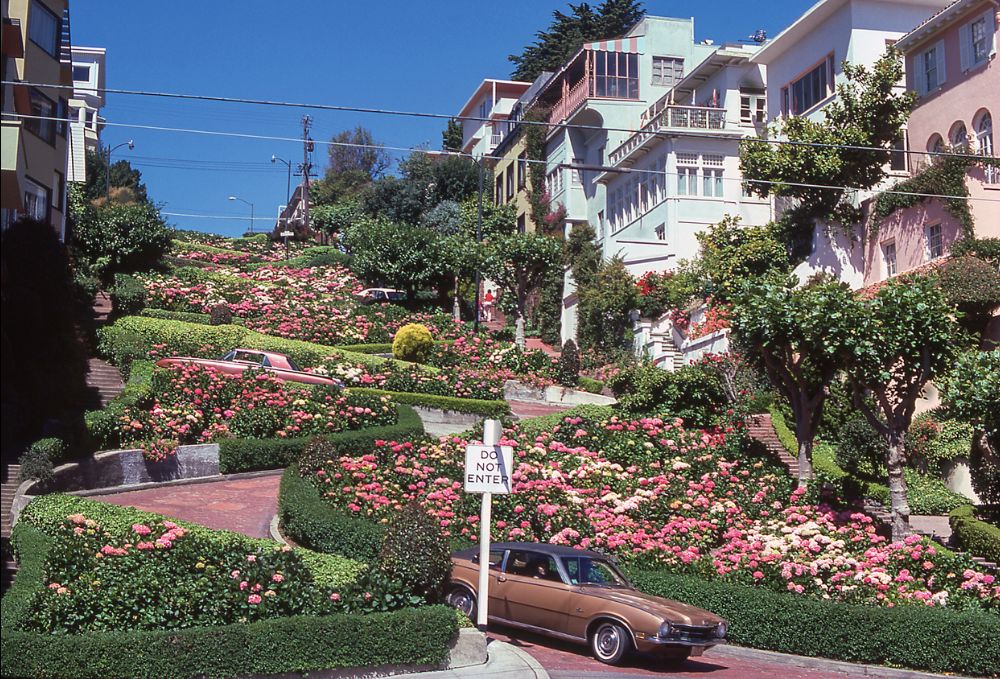 Image of Lombard Street in San Francisco near Dateable Offices